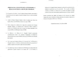 
Programa conjunto de actividades a realizar por el grupo de trabajo.


