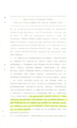 
Actas, Acuerdos y Modificaciones de Contratos de Créditos y Sociedades Comerciales.


