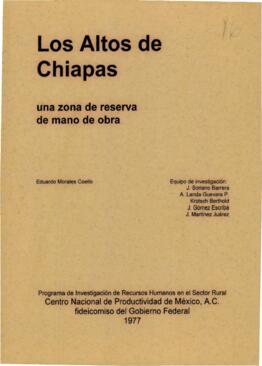 
Los Altos de Chiapas, una zona de reserva de mano de obra.


